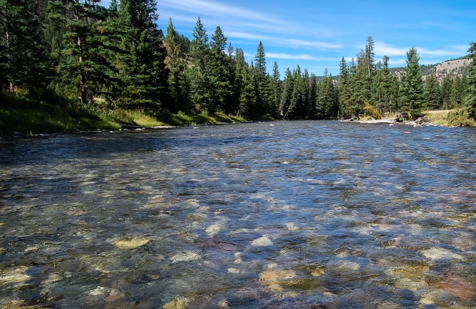 Fly Fishing Trips