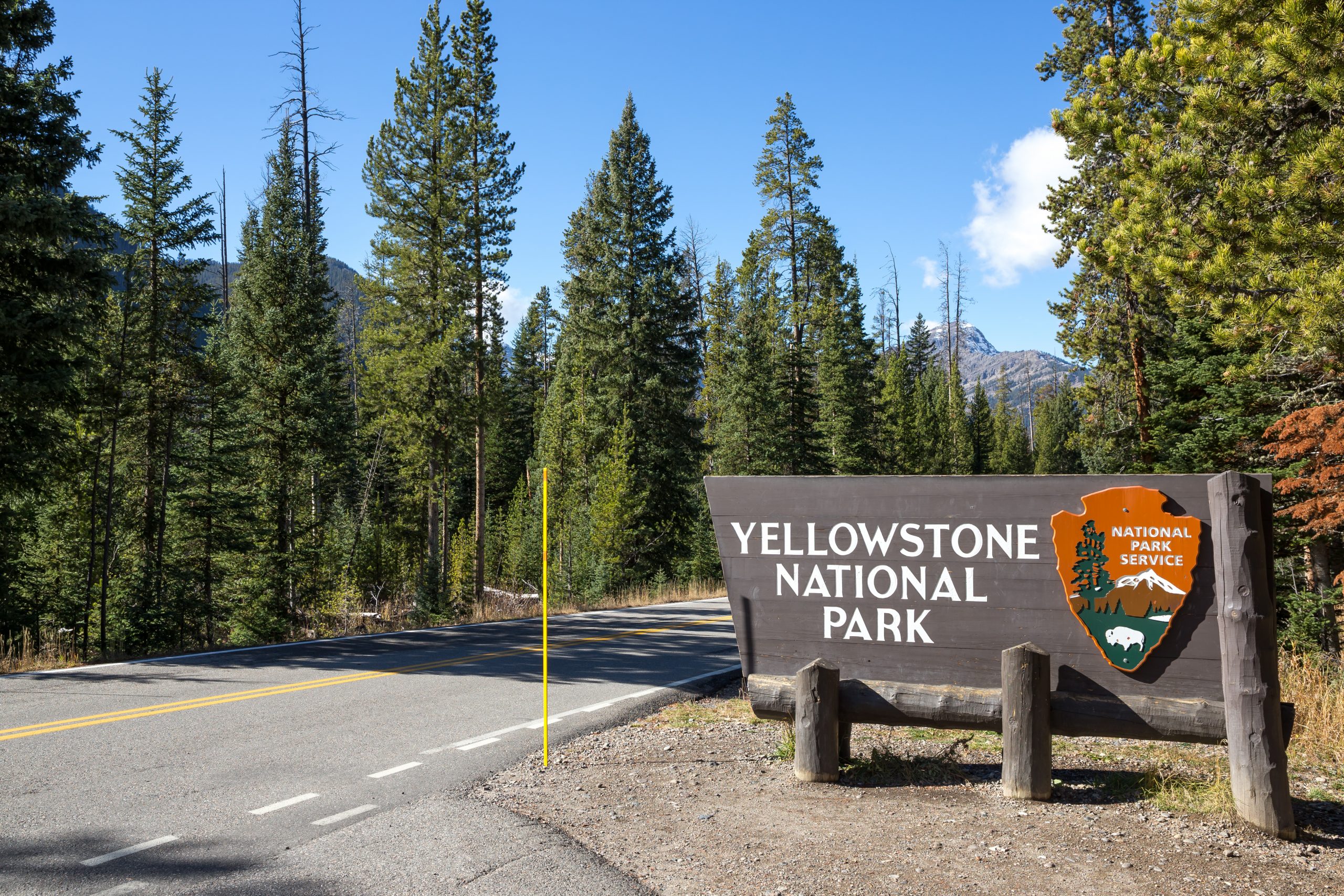Yellowstone National Park Tours